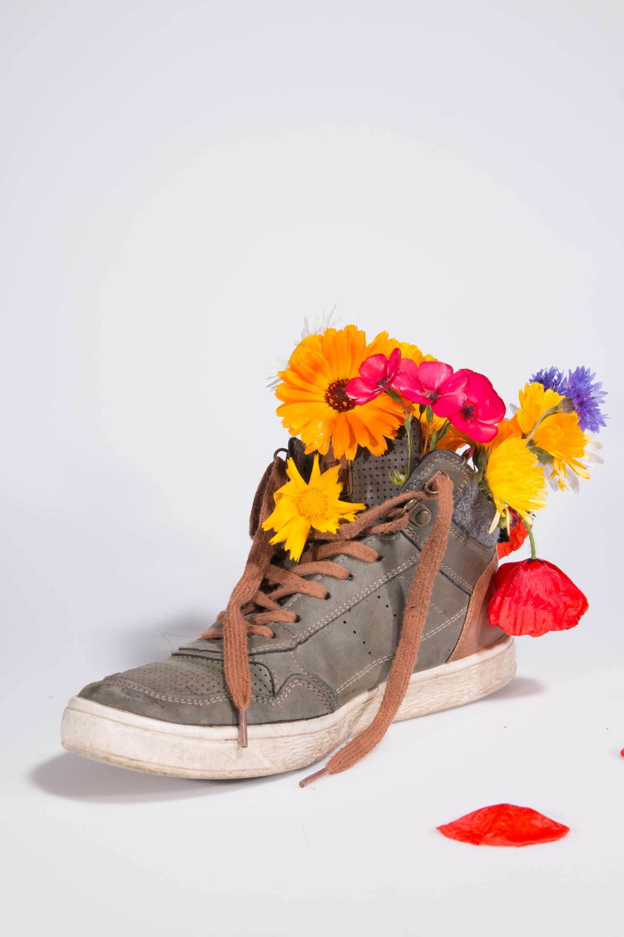 L' Oeil Noir Photographie